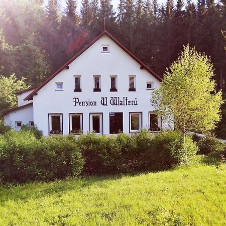 Penzion U Walterů Josefův Důl Exteriér fotografie
